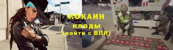 ПСИЛОЦИБИНОВЫЕ ГРИБЫ Бородино