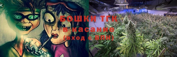 ПСИЛОЦИБИНОВЫЕ ГРИБЫ Бородино