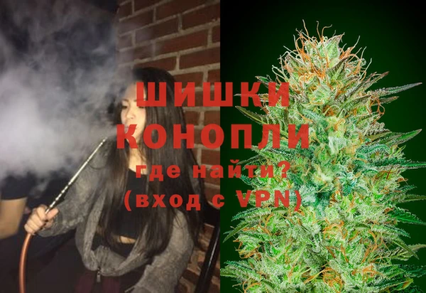 ПСИЛОЦИБИНОВЫЕ ГРИБЫ Бородино