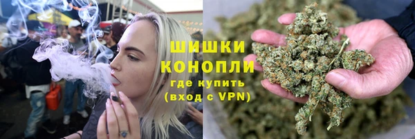 ПСИЛОЦИБИНОВЫЕ ГРИБЫ Бородино