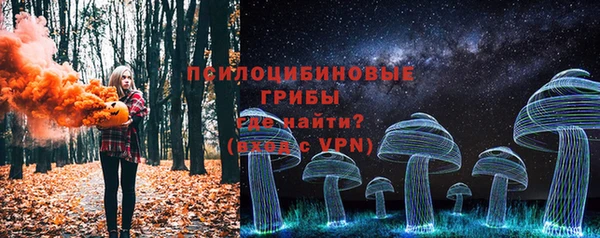 ПСИЛОЦИБИНОВЫЕ ГРИБЫ Бородино