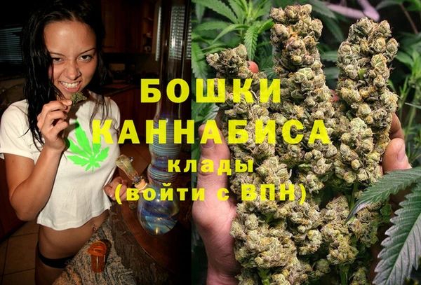 ПСИЛОЦИБИНОВЫЕ ГРИБЫ Бородино