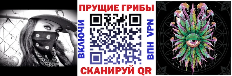 Псилоцибиновые грибы Psilocybe  Рузаевка 